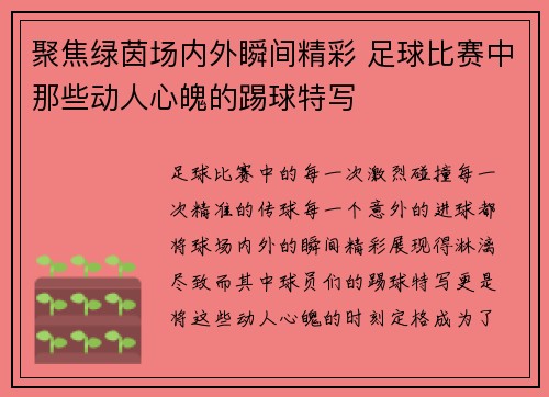 聚焦绿茵场内外瞬间精彩 足球比赛中那些动人心魄的踢球特写