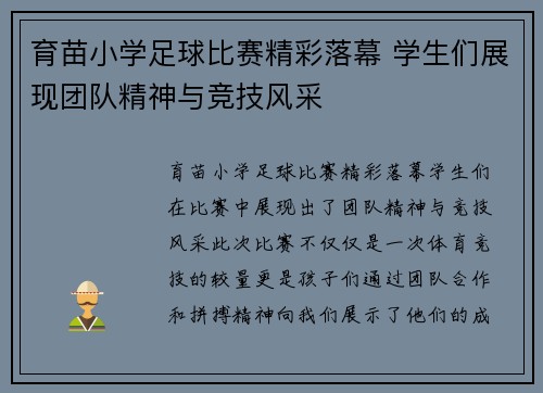 育苗小学足球比赛精彩落幕 学生们展现团队精神与竞技风采