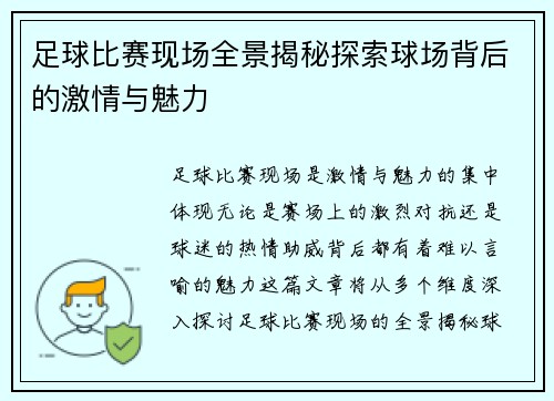 足球比赛现场全景揭秘探索球场背后的激情与魅力